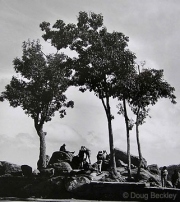 Skyline Drive Overlook